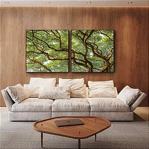 Duo de Quadros Quadrados Copa de Árvore Natureza Paisagem Canvas Moldura