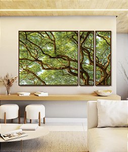 Trio de Quadros Estilizados Copa de Árvore Natureza Paisagem Canvas Moldura