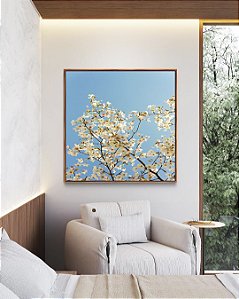 Quadro Quadrado Árvore Flores Brancas Céu Azul Paisagem Canvas Moldura