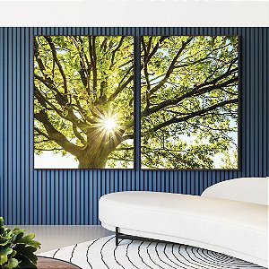 Duo de Quadros Árvore Folhas Verdes Reflexos do Sol Paisagem Canvas Moldura