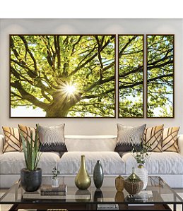 Trio de Quadros Estilizados Árvore Folhas Verdes Reflexos do Sol Paisagem Canvas Moldura