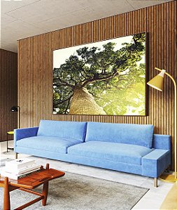 Quadro Horizontal Natureza Árvore Luzes do Sol Paisagem Canvas Moldura