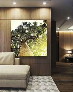 Quadro Quadrado Natureza Árvore Luzes do Sol Paisagem Canvas Moldura