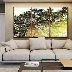 Trio de Quadros Natureza Árvore Luzes do Sol Paisagem Canvas Moldura