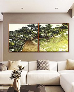 Duo de Quadros Quadrados Natureza Árvore Luzes do Sol Paisagem Canvas Moldura