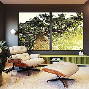 Duo de Quadros Natureza Árvore Luzes do Sol Paisagem Canvas Moldura