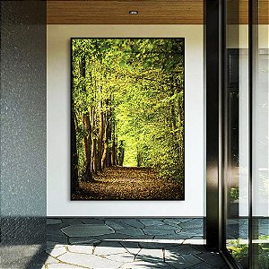 Quadro Vertical Caminho Entre Árvores Floresta Natureza Canvas Moldura