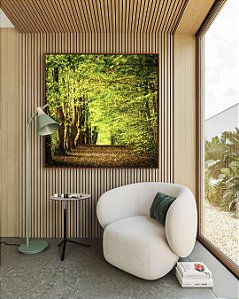 Quadro Quadrado Caminho Entre Árvores Floresta Natureza Canvas Moldura