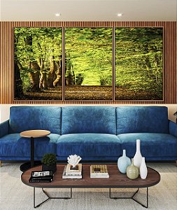 Trio de Quadros Caminho Entre Árvores Floresta Natureza Canvas Moldura