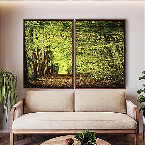 Duo de Quadros Caminho Entre Árvores Floresta Natureza Canvas Moldura