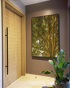 Quadro Vertical Árvore Folhas Verdes Sol Paisagem Natureza Canvas Moldura