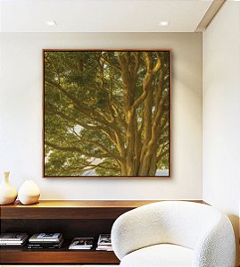 Quadro Quadrado Árvore Folhas Verdes Sol Paisagem Natureza Canvas Moldura