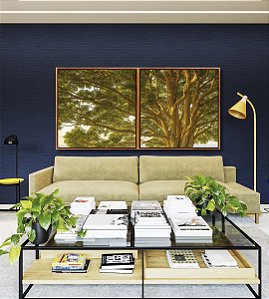 Duo de Quadros Quadrados Árvore Folhas Verdes Sol Paisagem Natureza Canvas Moldura