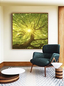Quadro Quadrado Árvore Folhas Verdes Luzes do Sol Céu de Floresta Canvas Moldura