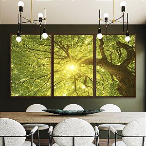 Trio de Quadros Árvore Folhas Verdes Luzes do Sol Céu de Floresta Canvas Moldura