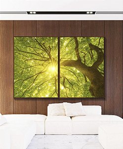 Duo de Quadros Árvore Folhas Verdes Luzes do Sol Céu de Floresta Canvas Moldura