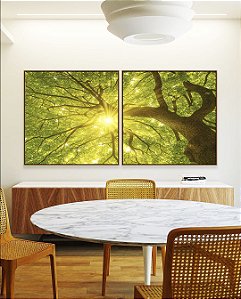 Duo de Quadros Quadrados Árvore Folhas Verdes Luzes do Sol Céu de Floresta Canvas Moldura