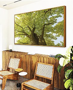 Quadro Horizontal Árvores Folhas Verdes Céu Claro Paisagem Natureza Canvas Moldura