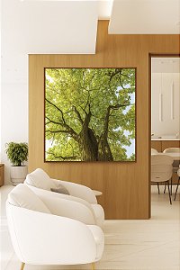 Quadro Quadrado Árvores Folhas Verdes Céu Claro Paisagem Natureza Canvas Moldura