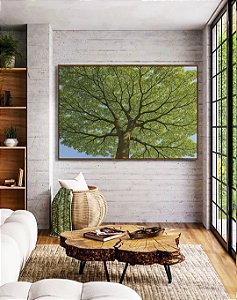 Quadro Horizontal Natureza Árvore de Folhas Verdes Paisagem Canvas Moldura