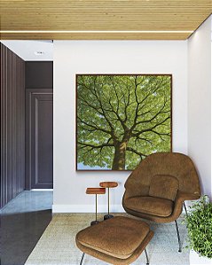 Quadro Quadrado Natureza Árvore de Folhas Verdes Paisagem Canvas Moldura