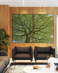 Duo de Quadros Natureza Árvore de Folhas Verdes Paisagem Canvas Moldura