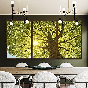 Trio de Quadros Paisagem Copa de Árvore Sol Folhas Verdes Natureza Canvas Moldura