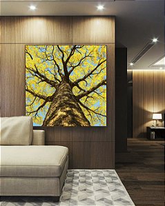 Quadro Quadrado Árvore Ipê Amarelo Céu Azul Nartureza Paisagem Canvas Moldura