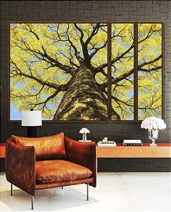 Trio de Quadros Estilizados Árvore Ipê Amarelo Céu Azul Nartureza Paisagem Canvas Moldura