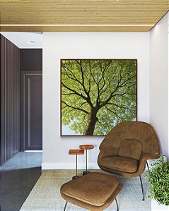 Quadro Quadrado Paisagem Copa de Árvore Folhas Verdes Natureza Canvas Moldura