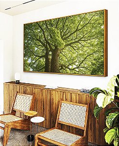 Quadro Horizontal Árvores Folhas Verdes Natureza Paisagem Canvas Moldura