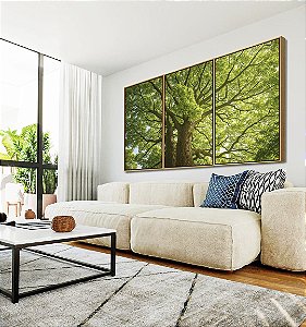 Trio de Quadros Árvores Folhas Verdes Natureza Paisagem Canvas Moldura