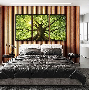 Trio de Quadros Árvore Folhas Verdes Luzes Reflexos do Sol Paisagem Canvas Moldura