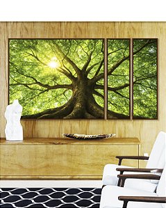 Trio de Quadros Estilizados Árvore Folhas Verdes Luzes Reflexos do Sol Paisagem Canvas Moldura