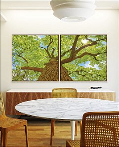 Duo de Quadros Quadrados Árvore Luz Natural Folhas Verdes Canvas Moldura