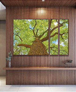 Trio de Quadros Estilizados Árvore Luz Natural Folhas Verdes Canvas Moldura