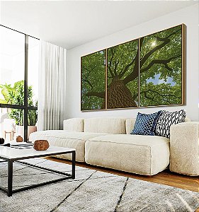 Trio de Quadros Árvore Folhas Verde Floresta Paisagem Canvas Moldura