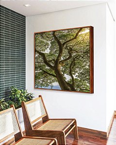 Quadro Quadrado Paisagem Árvore Folhas Verdes Natureza Canvas Moldura