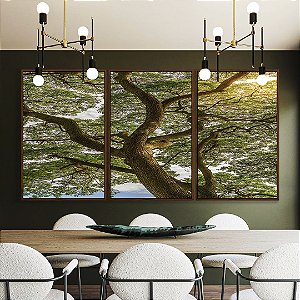Trio de Quadros Paisagem Árvore Folhas Verdes Natureza Canvas Moldura