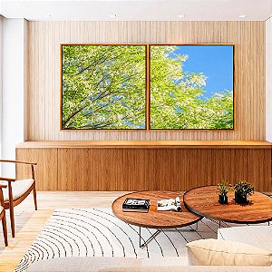 Duo de Quadros Quadrados Árvore Acácia-branca Céu Azul Natureza Canvas Moldura