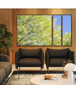 Trio de Quadros Estilizados Árvore Acácia-branca Céu Azul Natureza Canvas Moldura