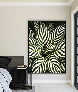 Quadro Vertical Planta Calatheas Folhas Natureza Canvas Moldura