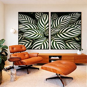 Duo de Quadros Planta Calatheas Folhas Natureza Canvas Moldura