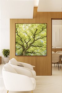 Quadro Quadrado Paisagem Copa de Árvore Folhas Verde Claro Natureza Canvas Moldura