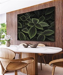 Quadro Horizontal Pilea Planta da Amizade Folhas Verdes Natureza Canvas Moldura