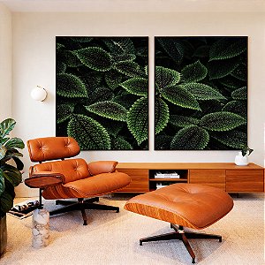 Duo de Quadros Pilea Planta da Amizade Folhas Verdes Natureza Canvas Moldura