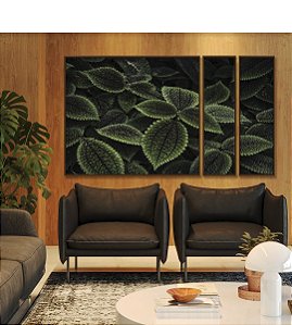 Trio de Quadros Estilizados Pilea Planta da Amizade Folhas Verdes Natureza Canvas Moldura