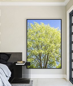 Quadro Vertical Árvore Verde Claro Céu Azul Claro Natureza Canvas Moldura
