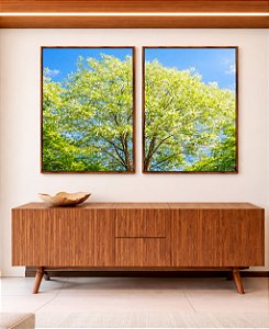 Duo de Quadros Árvore Verde Claro Céu Azul Claro Natureza Canvas Moldura