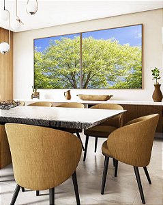 Duo de Quadros Quadrados Árvore Verde Claro Céu Azul Claro Natureza Canvas Moldura